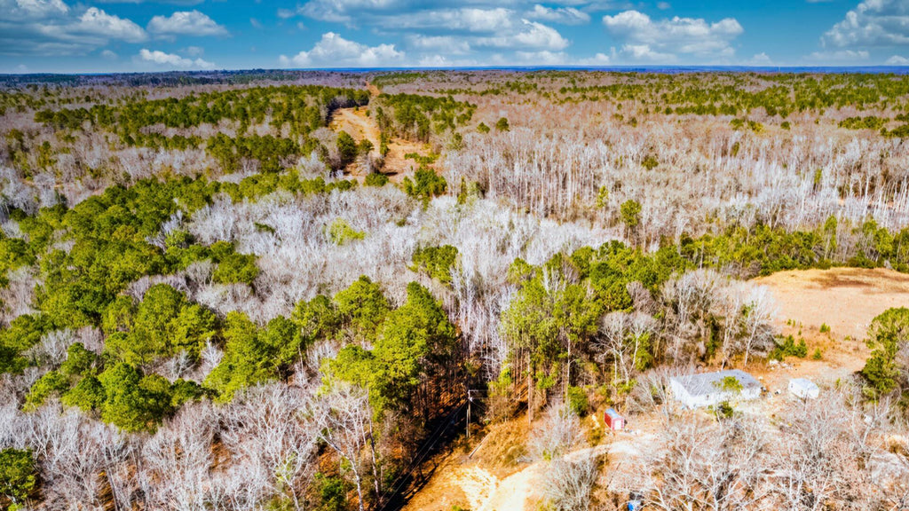 6.93 Wooded Acres on Cul-de-Sac with Power : AL_Russell_00001