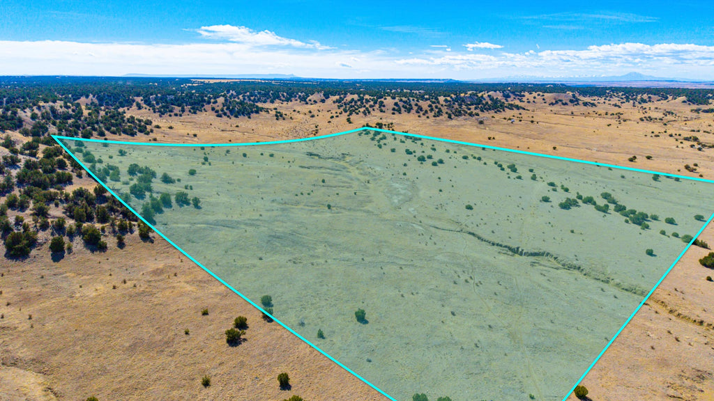 41.2 Acres with Access & Nearby Electricity  : CO_Las-Animas_00057