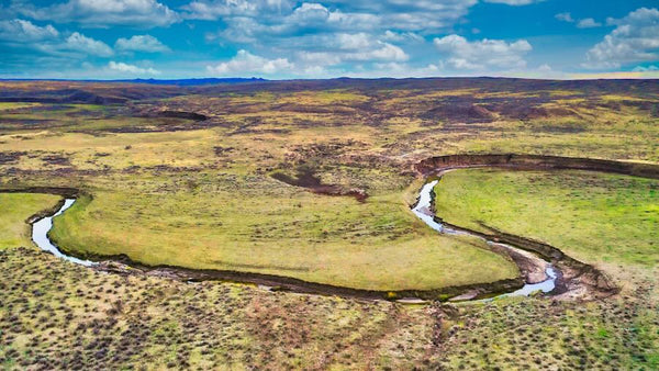 180 Acres with Creek & Bordering BLM Land : MT_Rosebud_00001