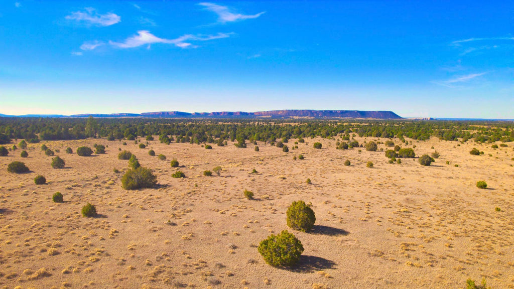 20 Acres with Private Access to the Cibola National Forest : NM_Cibola_00040