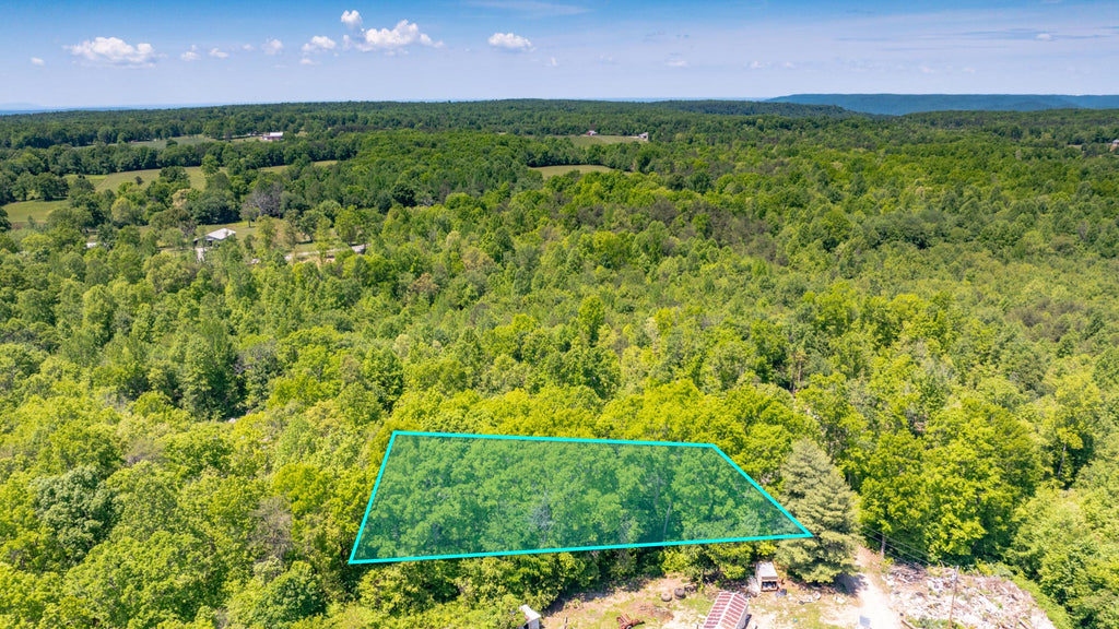 0.5 Wooded Acres with Power & Road Frontage near US Highway 70 : TN_White_00001