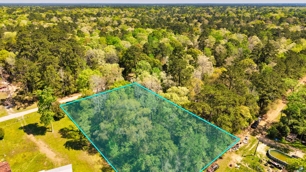 Wooded Lot with Road Frontage & Utilities near the Big Thicket National Preserve : TX_Liberty_00010
