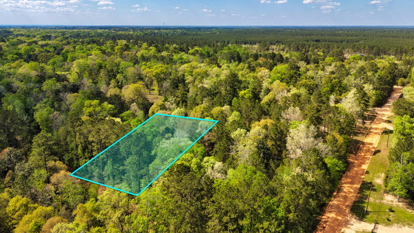 Wooded Lot with Access & Utilities near National Preserve : TX_Liberty_00020