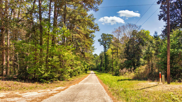 Wooded Lot with Utilities & Bordering Big Thicket National Preserve : TX_Liberty_00040