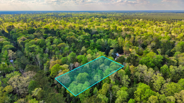 Wooded Lot with Utilities near Big Thicket National Preserve : TX_Liberty_00043