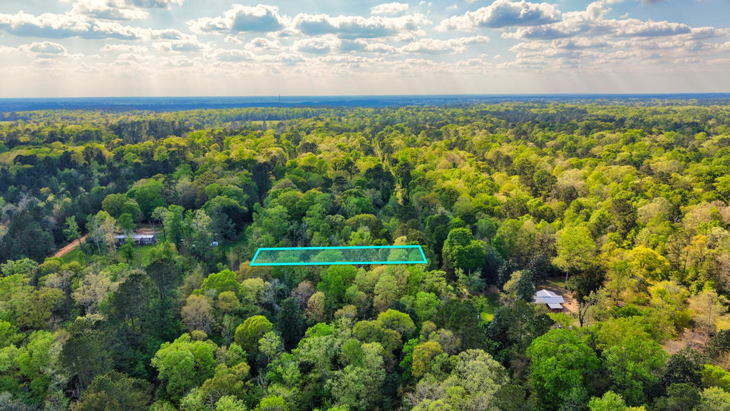 Wooded Lot with Utilities near Big Thicket National Preserve : TX_Liberty_00045