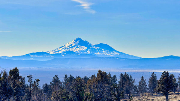 5.6 Acres with Access, Amazing Views of Mount Shasta & Bordering BLM Land : CA_Siskiyou_00002
