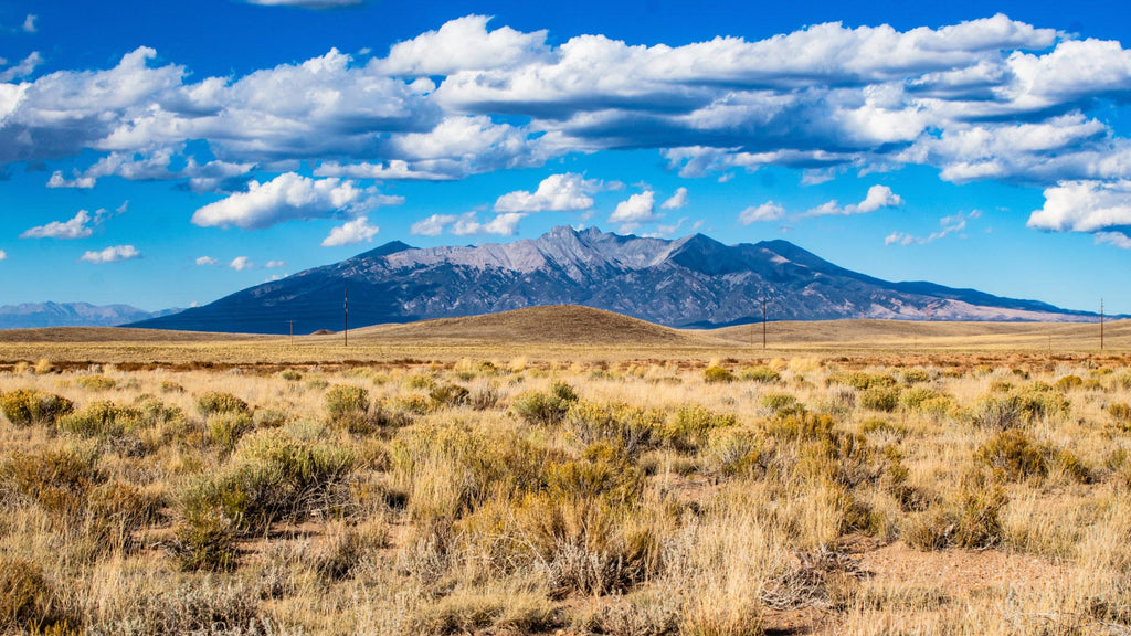 40 Acres with County Road Access, Nearby Power & Amazing Rocky Mountain Views : CO_Costilla_00009