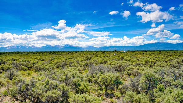 2.53 Acres with Road Frontage near Reservoir & State Wildlife Area : CO_Costilla_00017