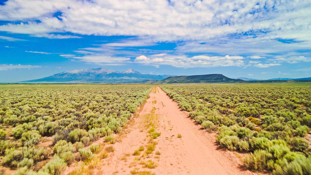 80 Acres with Road Access & Amazing Mountain Views : CO_Costilla_00023