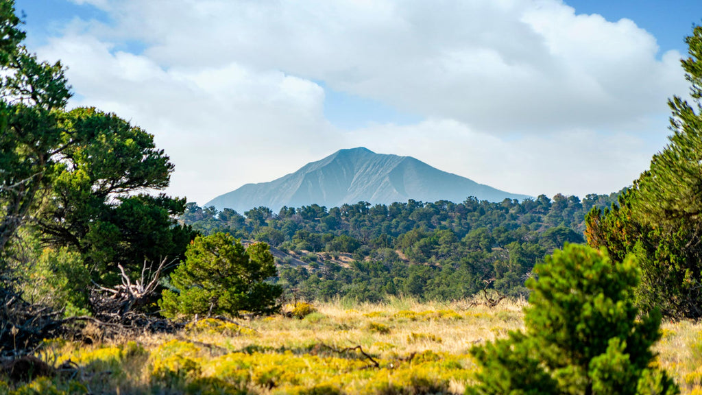 35 Acres with Mountain Views near San Isabel National Forest :CO_Huerfano_00076