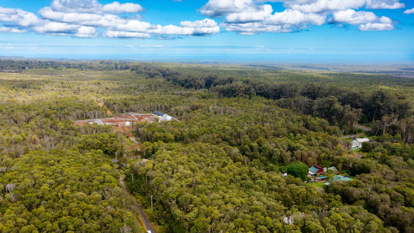 0.28 Acres in Mountain View, Hawaii near National Park : HI_Hawaii_00001