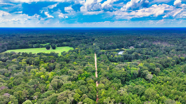 15.25 Acres in Louisiana with Power, County Water & Road Frontage : LA_East-Feliciana_00001
