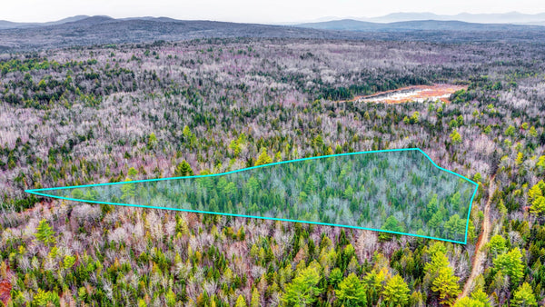 11 Wooded Acres with Road Frontage near Kennebec River : ME_Somerset_00004