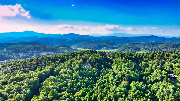 4.15 Wooded Acres in North Carolina : NC_Ashe_00009