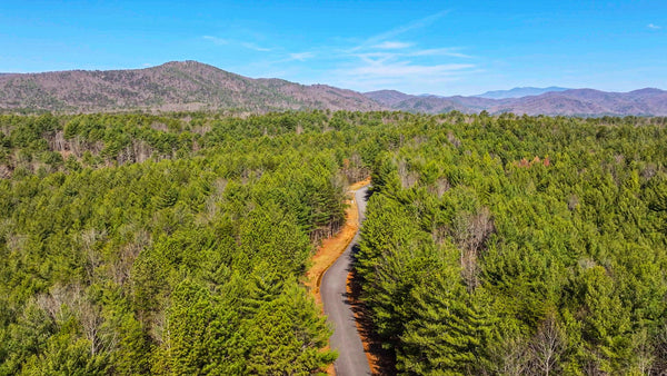 4.88 Acres with Power, Internet & Road Access near Pisgah National Forest : NC_Caldwell_00001