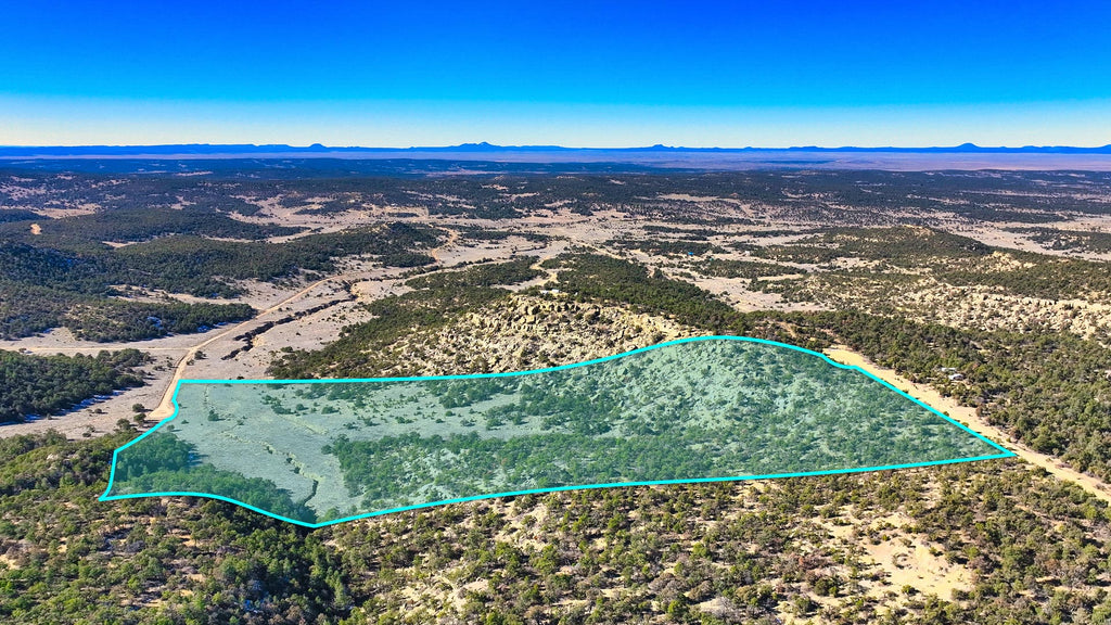 30 Acres with Power and Dual Road Fronage : NM_Catron_00006