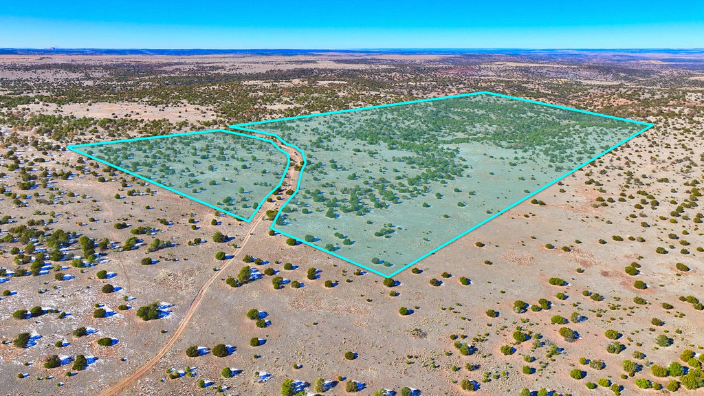 78 Acres with Access, Nearby Power & Bordering BLM Land : NM_Catron_00007