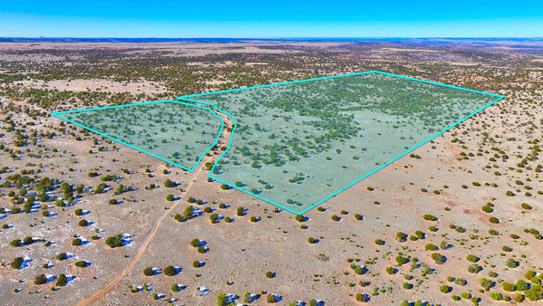 78 Acres with Access, Nearby Power & Bordering BLM Land : NM_Catron_00007