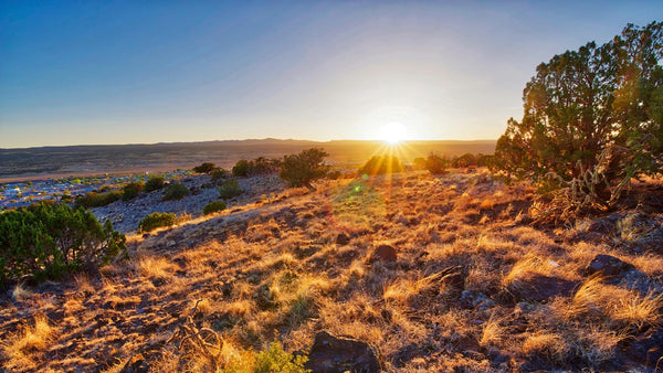 4.75 Acre Homesite near Grants, NM & Cibola National Forest : NM_Cibola_00015