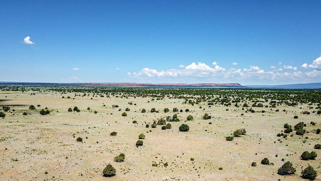 5.28 Acres near 100,000+ Acres of BLM Land : NM_Cibola_00019
