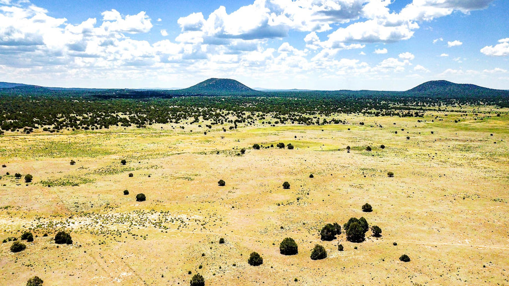 5.18 Acres near BLM Land & National Forest : NM_Cibola_00028
