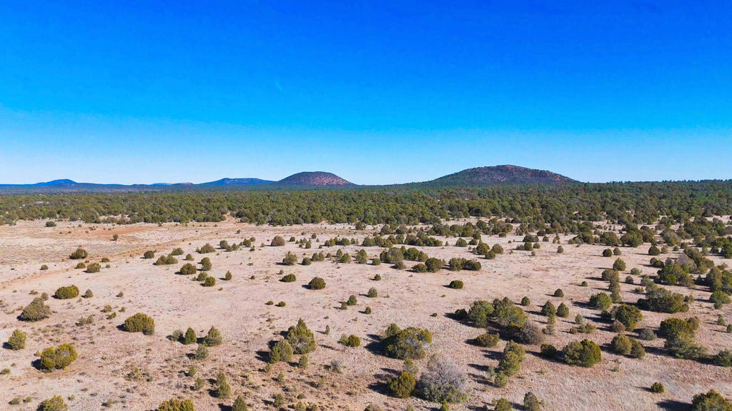 10 Acres with Road Frontage near BLM Land & the El Malpais National Monument : NM_Cibola_00053