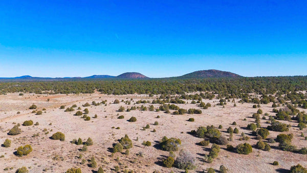 10 Acres with Road Frontage near BLM Land & the El Malpais National Monument : NM_Cibola_00053