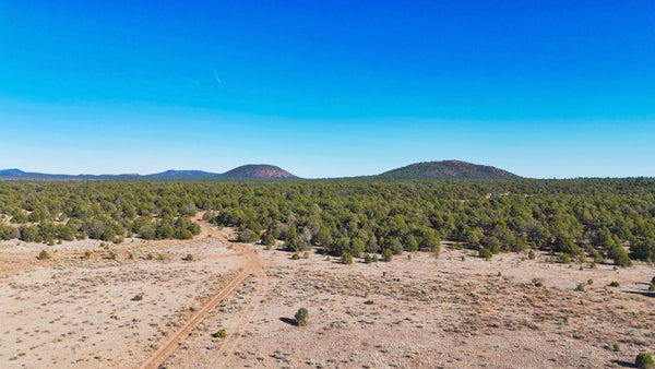 10 Acre Corner Lot near BLM Land & the El Malpais National Monument : NM_Cibola_00054