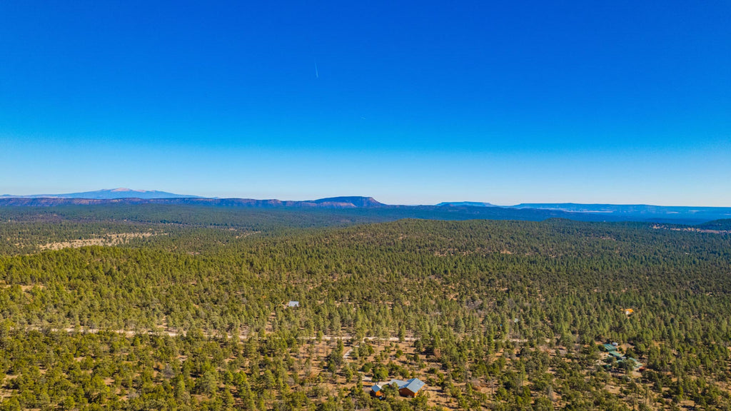 10 Wooded Acres with Access near Cibola National Forest : NM_Cibola_00073