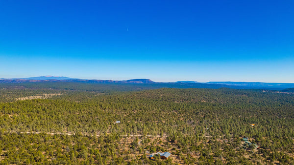 10 Wooded Acres with Access near Cibola National Forest : NM_Cibola_00073