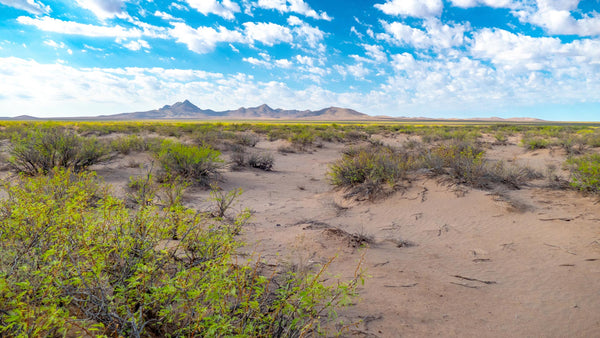 79 Acre Ranch with Access, Mountain Views & Bordering Public Land : NM_Luna_00017