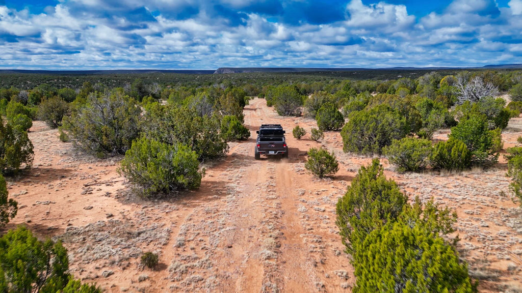 543 Acres bordering 25,000 Acres of National Forest Land : NM_San-Miguel_00002