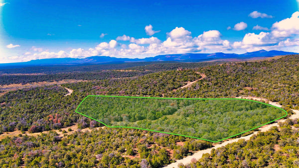 10.06 Acres in Gated Community with Road Frontage & Electricity near National Forest : NM_Torrance_00004