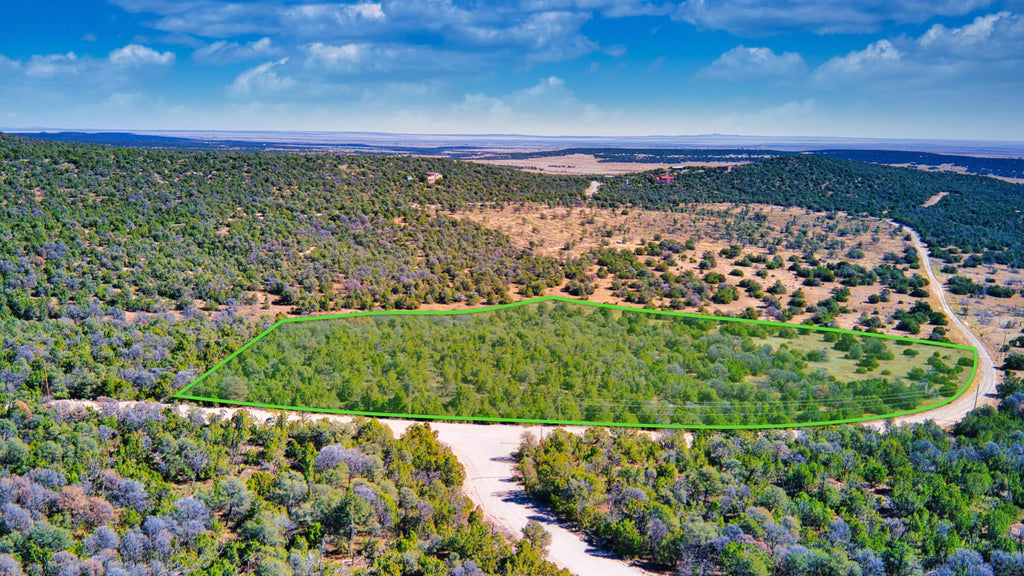 11.35 Acres in Gated Community with Electricity near National Forest : NM_Torrance_00005