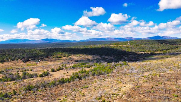 10.04 Acres in Gated Community with Electricity & Road Frontage near National Forest : NM_Torrance_00006