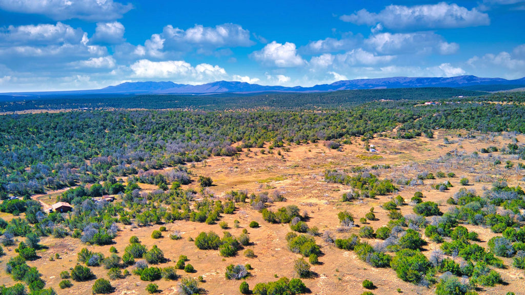 10.35 Acres in Gated Community with Mountain Views near National Forest : NM_Torrance_00007