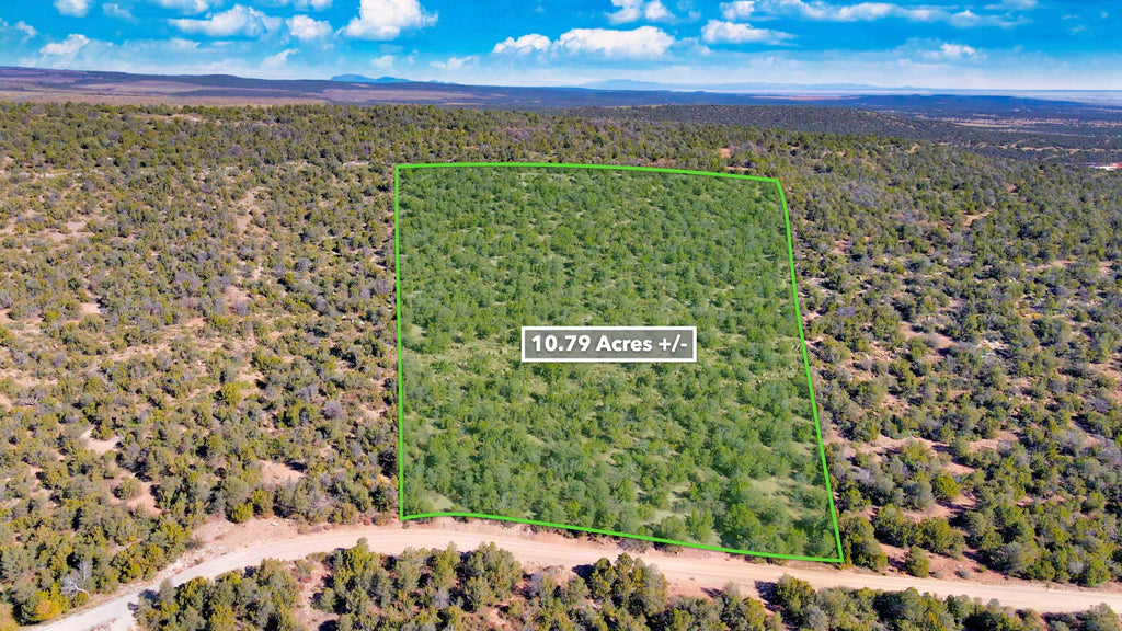 10.79 Wooded Acres in Gated Community with Mountain Views near National Forest : NM_Torrance_00012