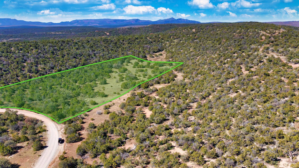 10.03 Acres in Gated Community with Road Frontage & Electricity near National Forest : NM_Torrance_00013