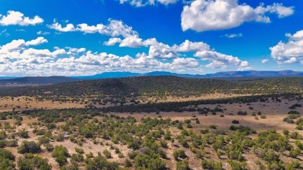 10.1 Acres in Power & Road Frontage near National Forest & Albuquerque : NM_Torrance_00014