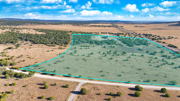 20.66 Acre Corner Lot with Power & Internet near National Forest : NM_Torrance_00019