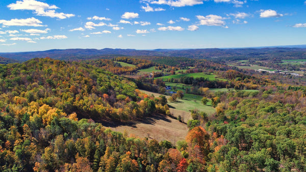 186 Wooded Acres in Salem, NY with Road Access & Power Nearby : NY_Washington_00001