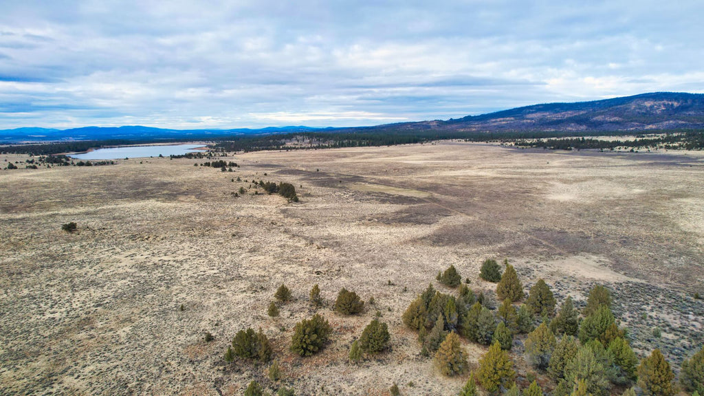 160 Acres with Mountain Views bordering BLM Land & the Fremont National Forest : OR_Klamath_00004