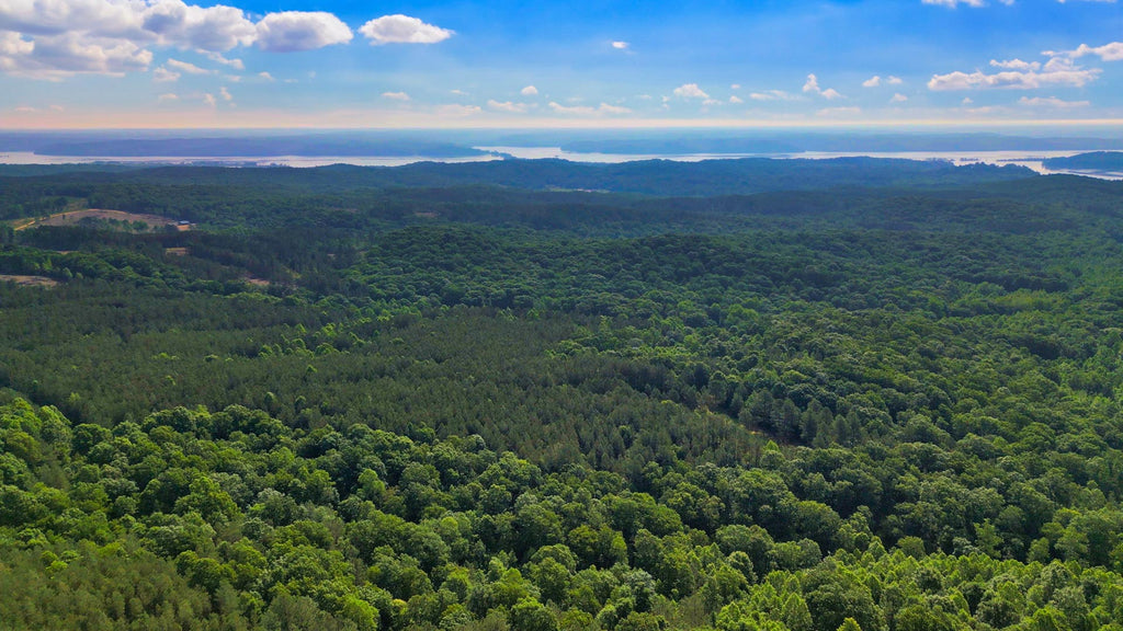 12 Wooded Acres in Gated Community by Kentucky Lake : TN_Benton_00002
