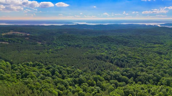 12 Wooded Acres in Gated Community by Kentucky Lake : TN_Benton_00002