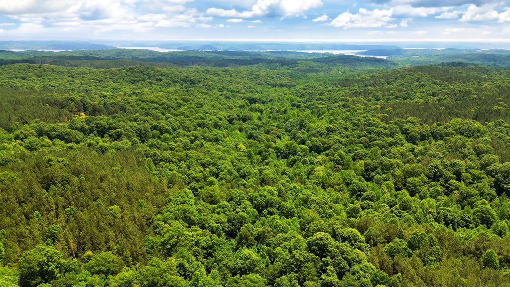 20 Wooded Acres in Gated Community by Kentucky Lake : TN_Benton_00003