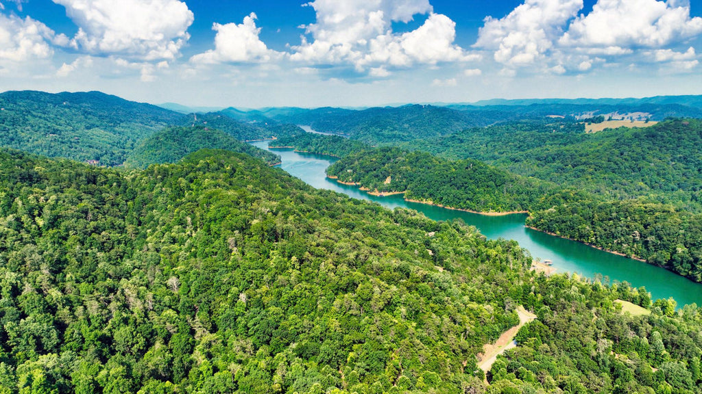 Wooded Lot in Tennessee with Power & Road Frontage near Norris Lake : TN_Grainger_00001