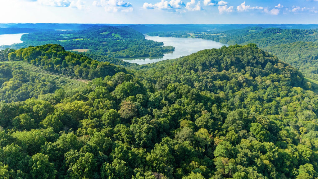 23 Wooded Acres with Power less than Half a Mile from the Cumberland River : TN_Smith_00001