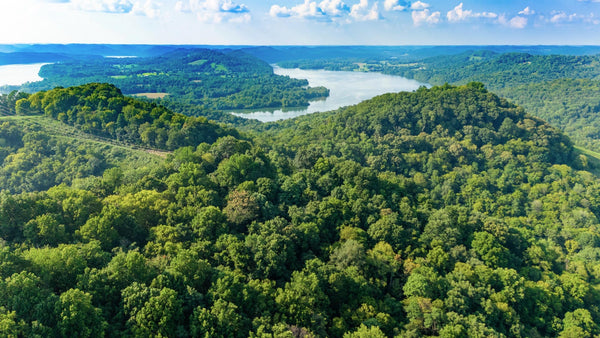 23 Wooded Acres with Power less than Half a Mile from the Cumberland River : TN_Smith_00001