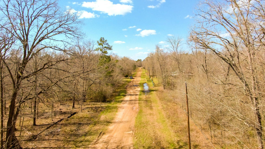 Wooded Lot near Lake Livingston with Utilities & Road Frontage : TX_Polk_00022